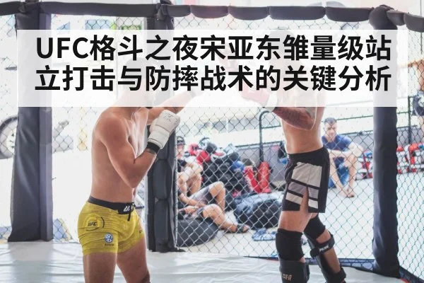 MMA fighters striking in cage