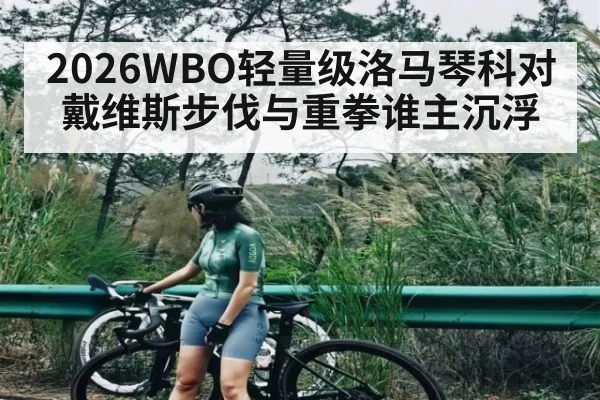 2026WBO轻量级洛马琴科对戴维斯步伐与重拳谁主沉浮